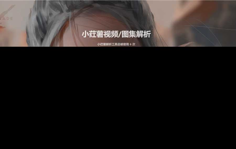 2023全新小红书图集和视频解析去水印网站源码 - 小辰精品|源码站™