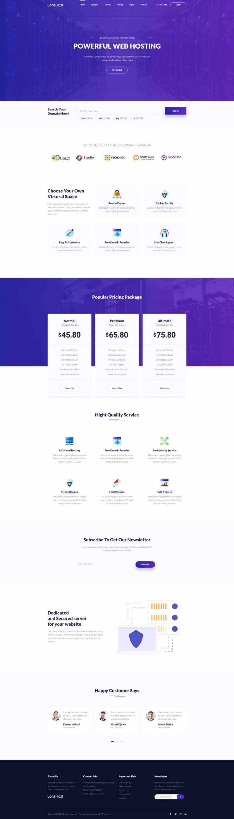 紫色的虚拟主机域名托管服务网站html模板 - 小辰精品|源码站™