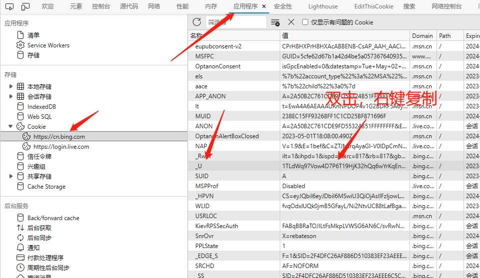 图片[10] - go语言新必应New Bingai聊天机器人 - 小辰精品|源码站™