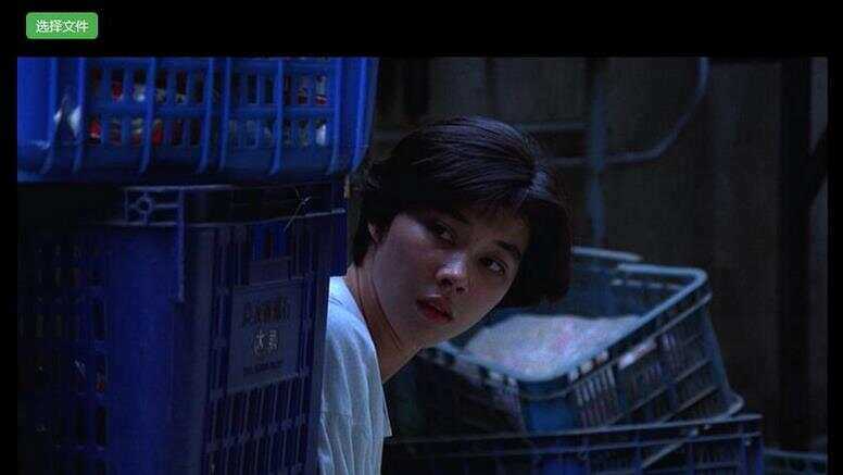 H5视频播放器源码_支持本地选择视频播放，带截图功能 - 小辰精品|源码站™