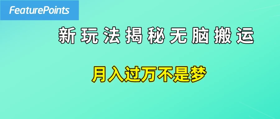 简单操作，每天50美元收入，搬运就是赚钱的秘诀！ - 小辰精品|源码站™