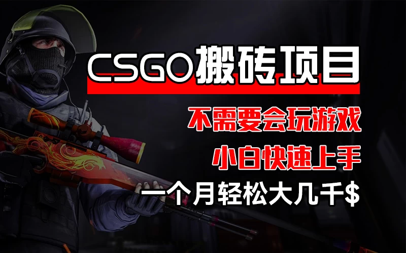 CSGO 装备搬砖项目，操作简单，不需要会玩游戏，小白也能快速上手，一个月轻松大几千 - 小辰精品|源码站™