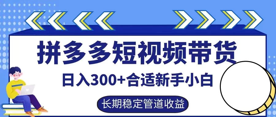 拼多多短视频带货日入300+保姆级实操账户展示 - 小辰精品|源码站™