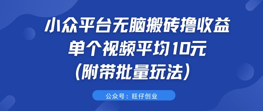 小众平台无脑搬砖撸收益，单个视频平均10元 (附带批量玩法） - 小辰精品|源码站™