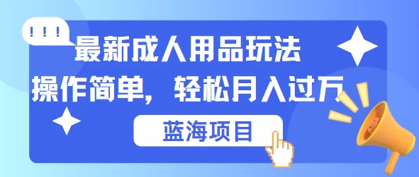 最新成人用品项目玩法，操作简单，蓝海项目轻松月入过万 - 小辰精品|源码站™