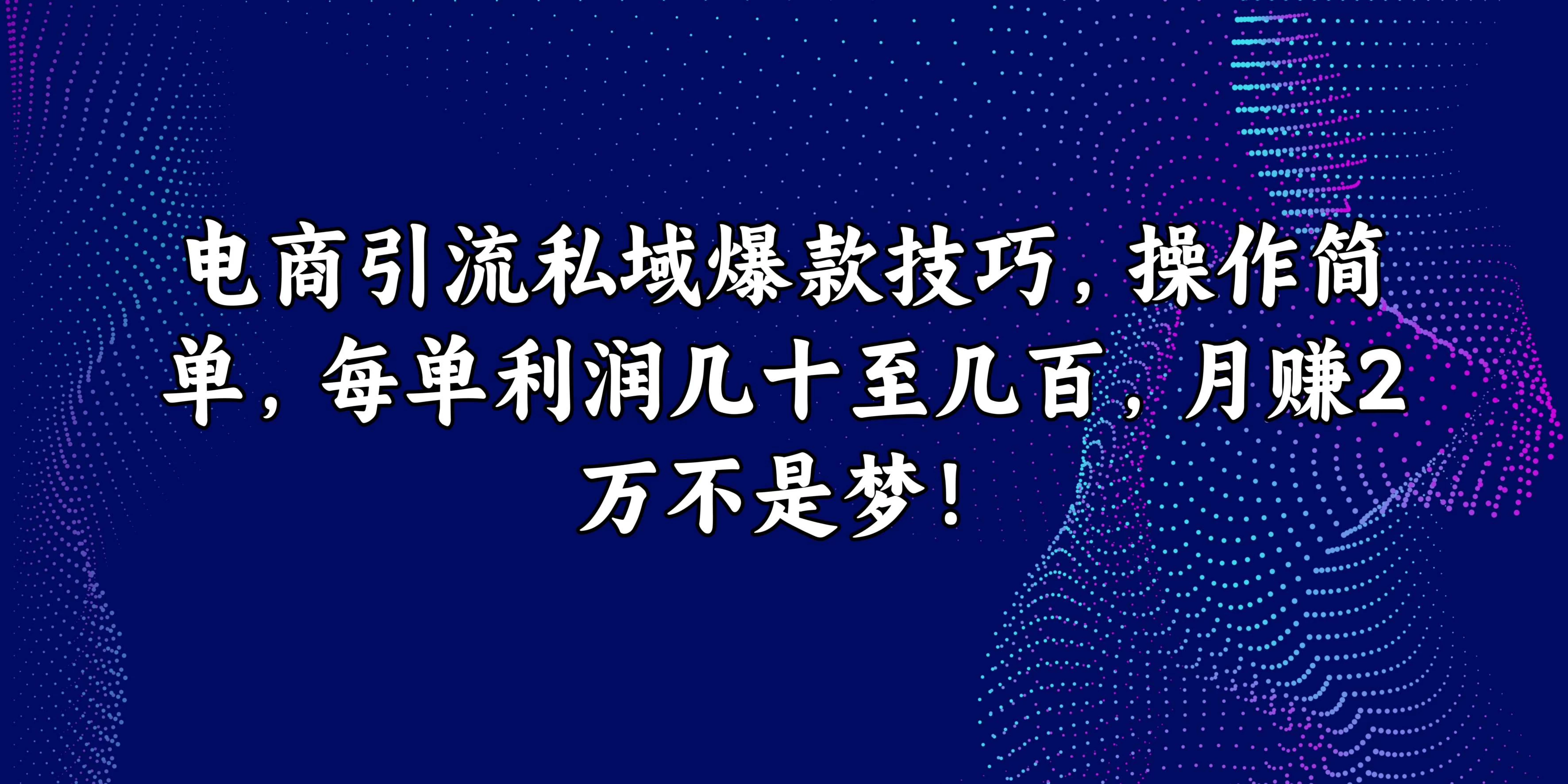 电商引流私域爆款技巧，操作简单，每单利润几十至几百，月赚2万不是梦！ - 小辰精品|源码站™