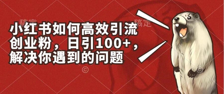 小红书如何高效引流创业粉，日引100+，解决你遇到的问题 - 小辰精品|源码站™