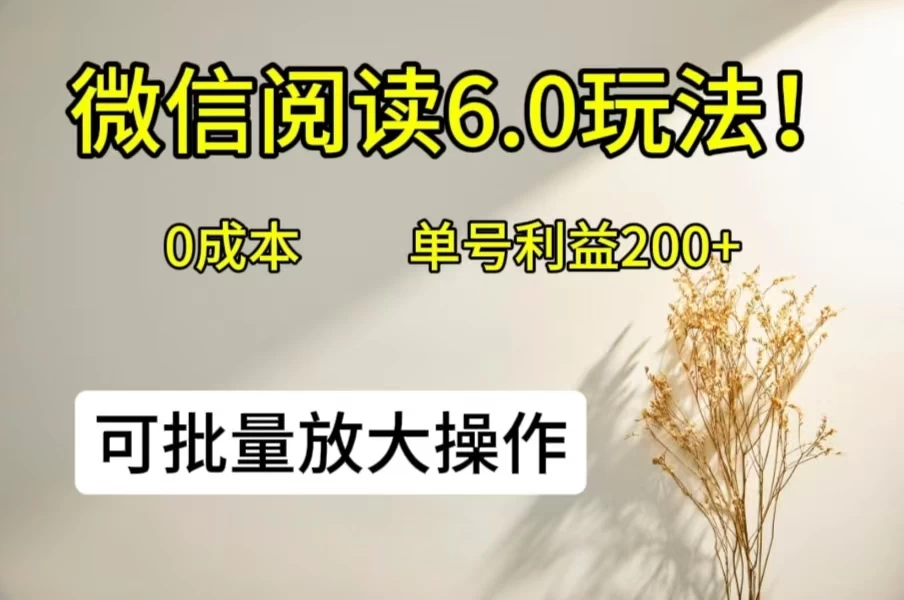 微信阅读6.0玩法！0撸，单号利益200+，可批量放大操作 - 小辰精品|源码站™