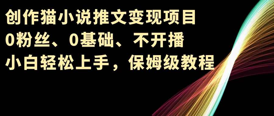 小说推文变现项目，0粉丝、0基础、不开播、小白轻松上手，保姆级教程 - 小辰精品|源码站™