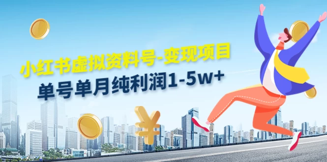 虚拟资料号变现项目，单月单号纯利润1W+，实操玩法分享 - 小辰精品|源码站™