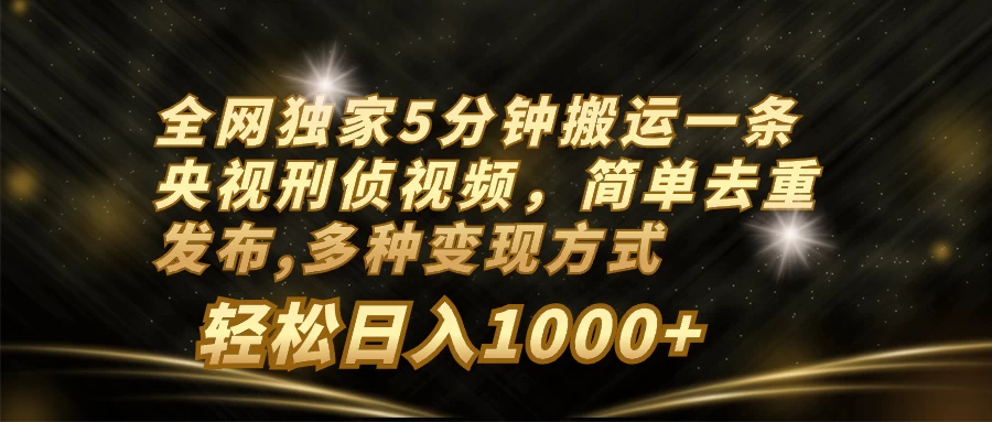 全网独家5分钟搬运一条央视刑侦视频，简单去重发布，多种变现方式，轻松日入1000+ - 小辰精品|源码站™