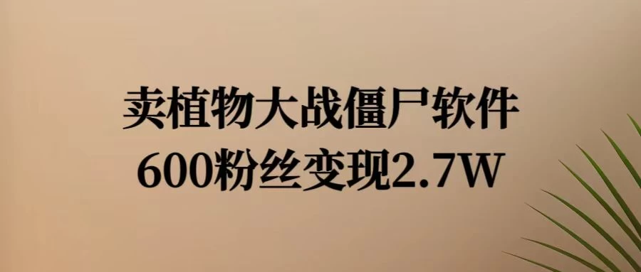 小红书怀旧游戏项目，卖游戏软件，600不到的粉丝变现2.7W - 小辰精品|源码站™