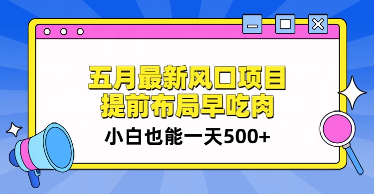 5月最新风口项目，提前布局早吃肉，小白也能一天暴利500+ - 小辰精品|源码站™
