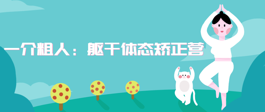 一介粗人：躯干体态矫正营 - 小辰精品|源码站™