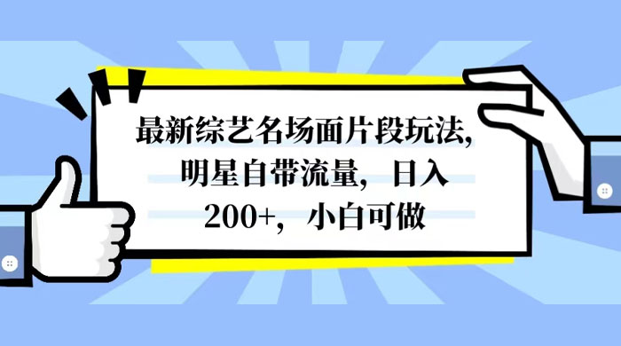 最新综艺名场面片段玩法，明星自带流量，日入200+，小白可做 - 小辰精品|源码站™