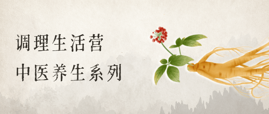 调理生活营：中医养生系列 - 小辰精品|源码站™