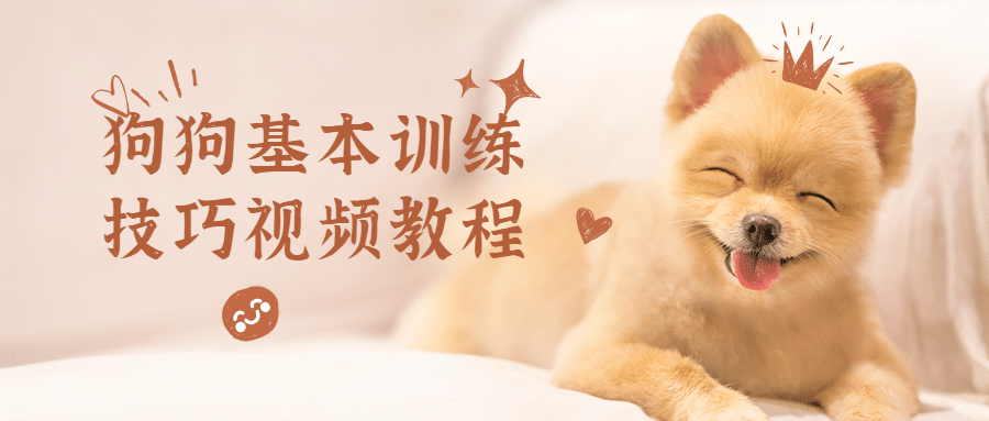 狗狗基本训练技巧视频教程 - 越北资源网