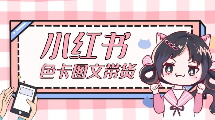 小红书色卡图文带货流量引爆单人月入 20W+ - 小辰精品|源码站™