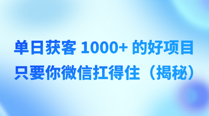 单日获客 1000+ 的好项目，只要你微信扛得住（揭秘） - 小辰精品|源码站™