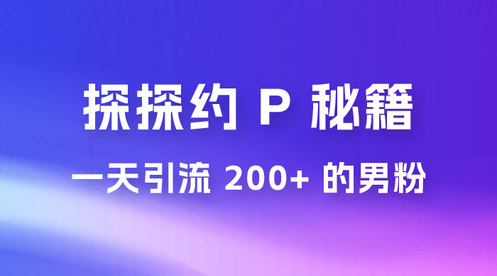 靠探探约 P 秘籍，一天引流 200+ 的男粉，日赚1000+，就是这么玩的 - 小辰精品|源码站™