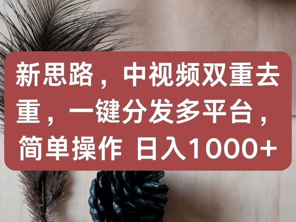 新思路，中视频双重去重，一键分发多平台，简单操作，日入1000+！快来试试吧！ - 小辰精品|源码站™