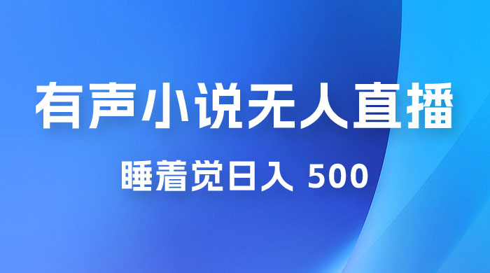 有声小说无人直播，睡着觉日入 500，保姆式教学 - 小辰精品|源码站™