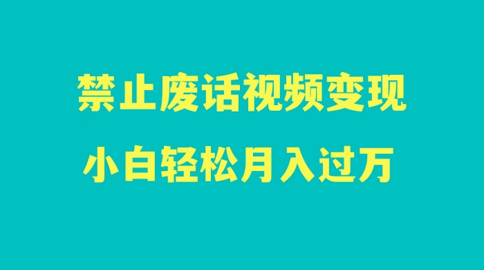 最新蓝海项目，靠禁止废话视频变现，一部手机，小白轻松月入过万！ - 小辰精品|源码站™