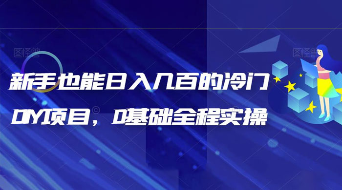 揭秘：新手也能日入几百的冷门 DIY 项目，0 基础全程实操 - 小辰精品|源码站™