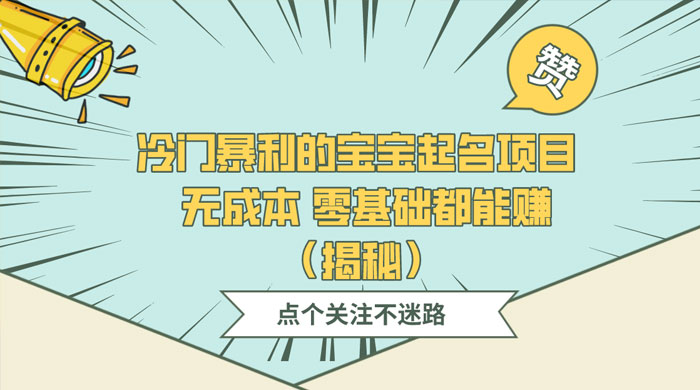 冷门暴利的宝宝起名项目 ，无成本零基础都能赚（揭秘） - 小辰精品|源码站™