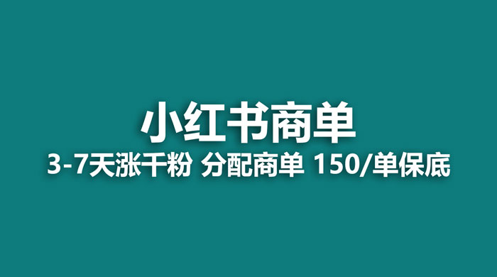 2023最强蓝海项目，小红书商单项目，没有之一 - 小辰精品|源码站™