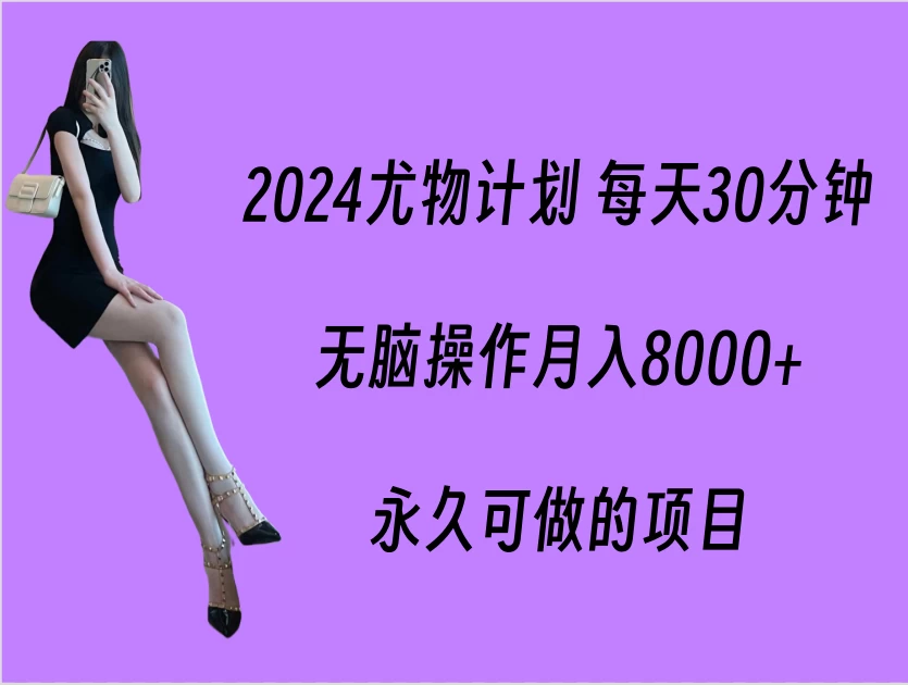 2024尤物计划 每天30分钟，无脑操作月入8000+，永久可做的项目 - 小辰精品|源码站™