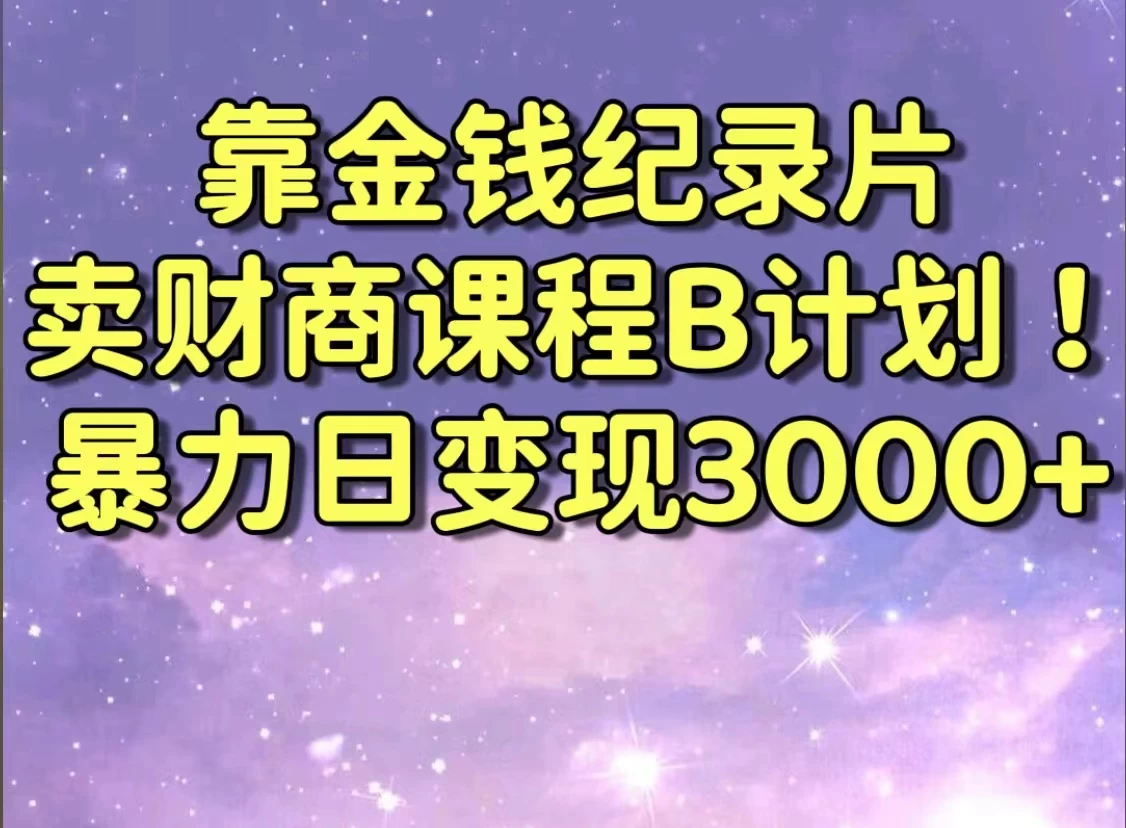 靠金钱纪录片卖财商课程，暴力日变现3000+，喂饭级干货教学！！ - 小辰精品|源码站™