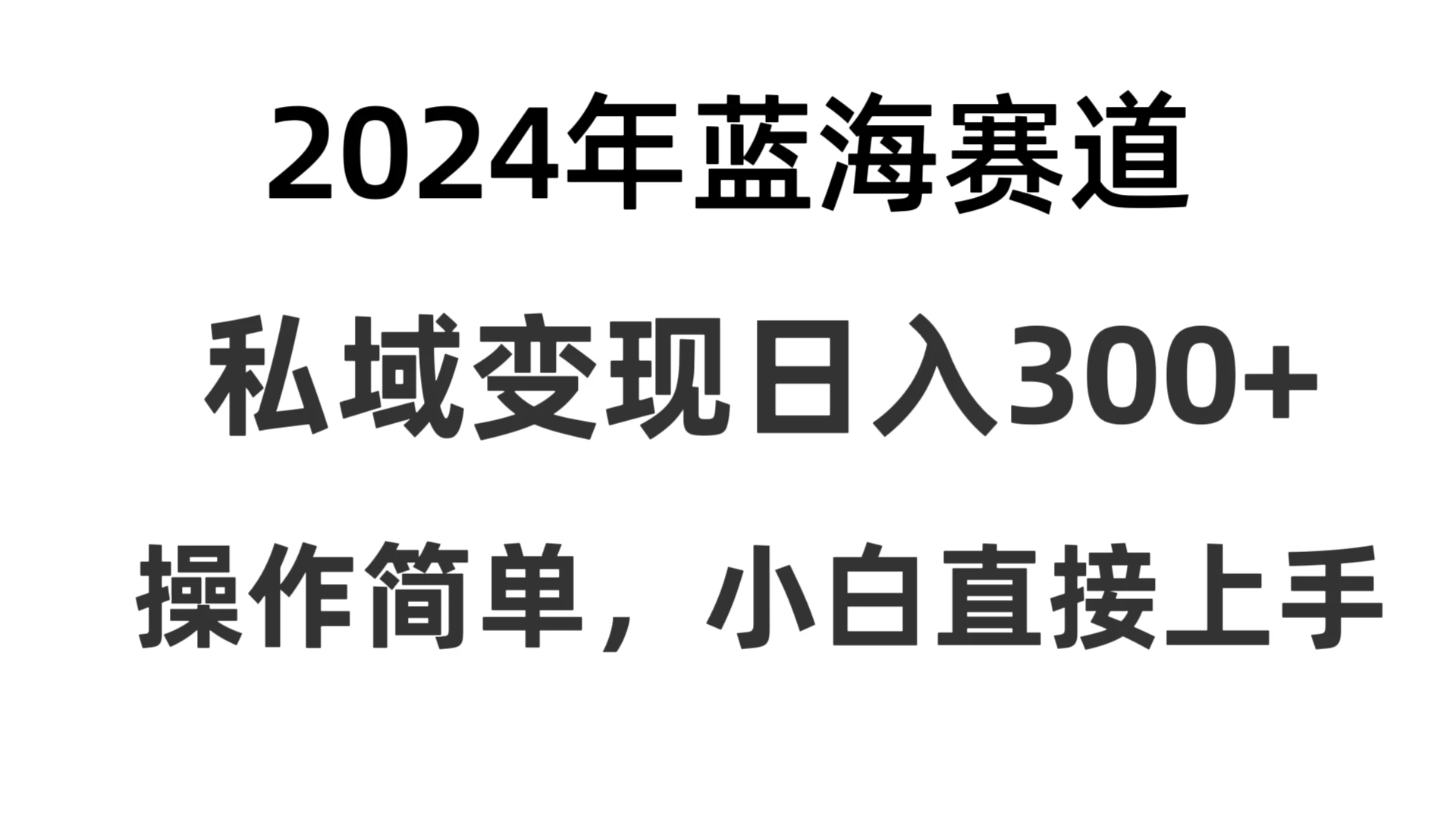 2024抖音蓝海赛道，私域变现日入300+，操作简单，每年只需一小时，纯小白可直接上手 - 小辰精品|源码站™