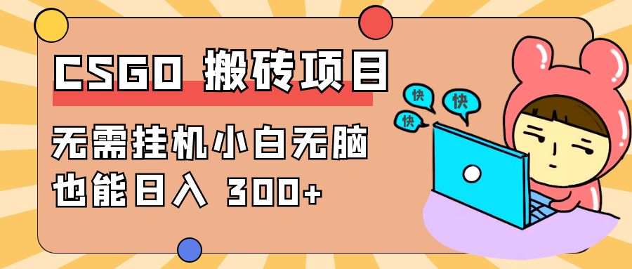 最新 CSGO 游戏搬砖项目，无需挂机小白无脑也能日入 300+ - 小辰精品|源码站™