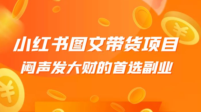 小红书图文带货项目：利润非常巨大，闷声发大财的首选副业 - 小辰精品|源码站™