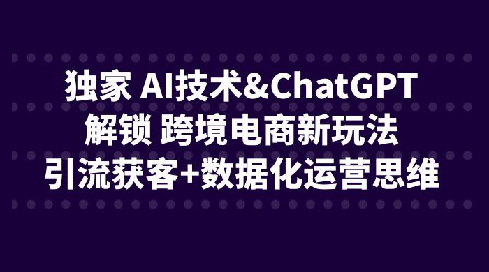 独家 AI 技术 ChatGPT 解锁跨境电商新玩法：引流获客 + 数据化运营思维 - 小辰精品|源码站™