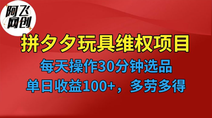 仅揭秘：拼多多 3C 玩具维权项目，一天操作半小时，稳定收入 100+ - 小辰精品|源码站™