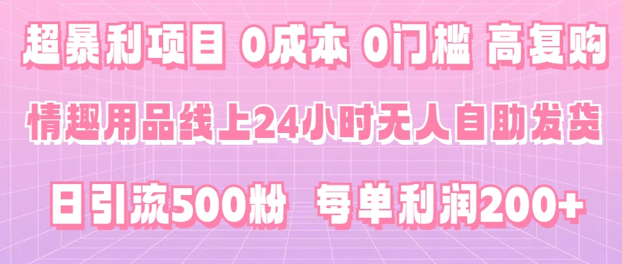 超暴利项目，情趣用品线上24小时-无人自助发货，0成本，0门槛，高复购，有手就能做，日引500粉，每单利润200+ - 小辰精品|源码站™