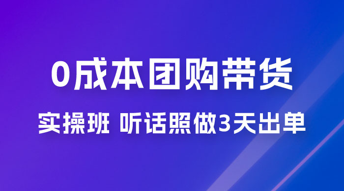 点金手 0 成本团购带货实操班，听话照做 3 天出单 - 小辰精品|源码站™