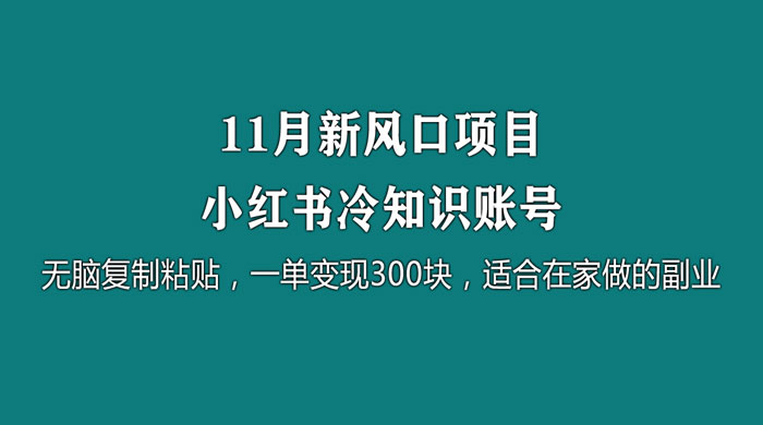 11 月新风口项目，小红书冷知识账号，无脑复制粘贴，一单变现 300 块，适合在家做的副业 - 小辰精品|源码站™
