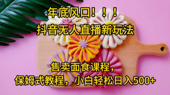 年底风口，抖音无人直播新玩法，售卖面食课程，保姆式教程，小白轻松日入500+ - 小辰精品|源码站™