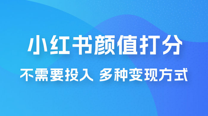 小红书颜值打分新玩法，不需要投入，适合所有人的一份副业，多种变现方式！ - 小辰精品|源码站™