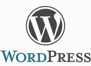 WordPress v6.0.2 中文正式版发布及优化代码 - 小辰精品|源码站™