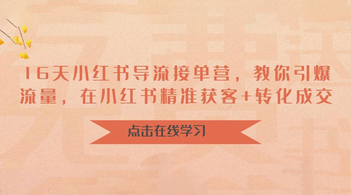16 天小红书导流接单营：教你引爆流量，在小红书精准获客+转化成交 - 小辰精品|源码站™