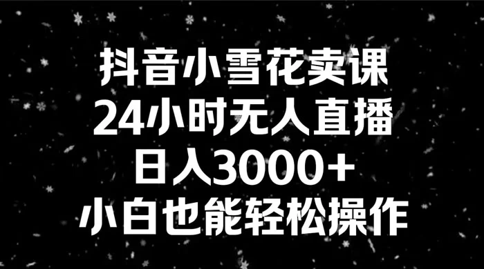 抖音小雪花卖课，24 小时无人直播，日入 3000+ ，小白也能轻松操作 - 小辰精品|源码站™