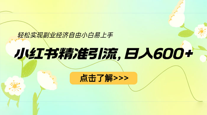 小红书精准引流：轻松实现副业经济自由（教程 + 1153G 资源） - 小辰精品|源码站™