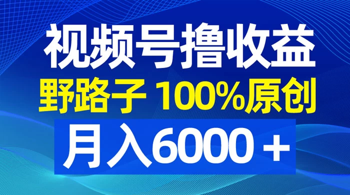 视频号野路子撸收益，100% 原创，条条爆款，月入 6000+ - 小辰精品|源码站™