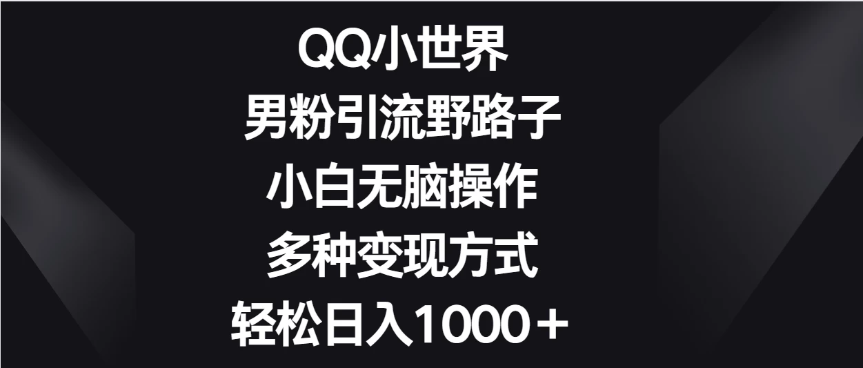 QQ小世界男粉引流野路子，小白无脑操作，多种变现方式轻松日入1000＋ - 小辰精品|源码站™