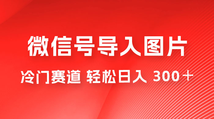外面收费 66 的将微信号导入图片的教程，可自用或卖教程，一单 66 元，轻松日入 300+ - 小辰精品|源码站™