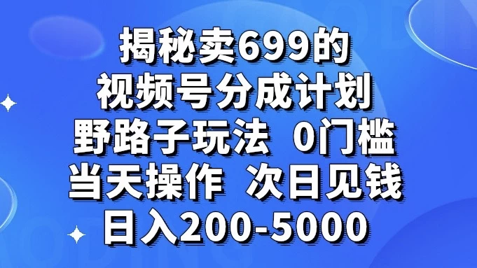 揭秘卖 699 的视频号分成计划野路子玩法，日入 200-5000，0 门槛，当天操作，次日见钱 - 小辰精品|源码站™